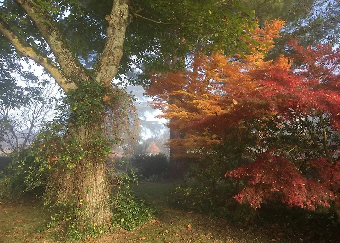 לינה וארוחת בוקר Domaine Des Monges 4*