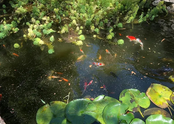 Domaine Des Monges 4* Saint-Seurin-de-Prats